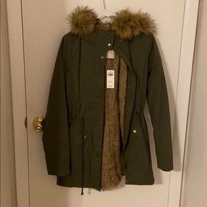 Hollister coat